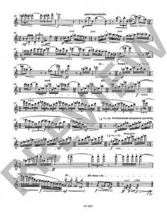 Ikarus WV 27 für Soloflöte von Markus Lehmann im Alle Noten Shop kaufen