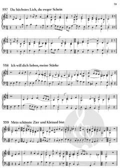 Orgelvorspiele zum Gotteslob II von Peter Hölzl im Alle Noten Shop kaufen (Partitur)