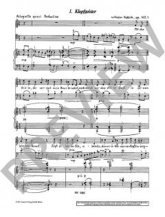 Fremde Fühlung op. 107 von Wilhelm Rettich 