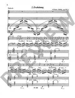 Fremde Fühlung op. 107 von Wilhelm Rettich 