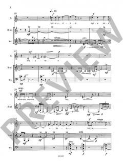 Worte, Schatten, Spiele (Christian Banasik) 