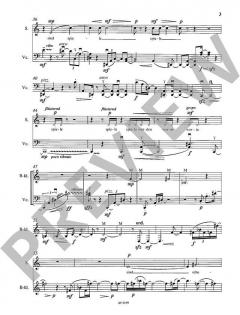 Worte, Schatten, Spiele (Christian Banasik) 