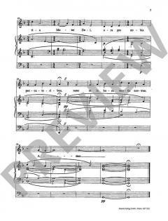 Ave Maria für mittlere Stimme und Orgel von Markus Lehmann 