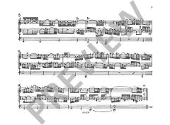 Zwei Choralvorspiele WV 17 von Markus Lehmann 