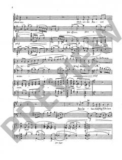 Der Cellospieler op. 39 (Wilhelm Rettich) 