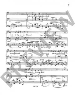 Ricarda Huch-Zyklus VI op. 96 von Wilhelm Rettich 