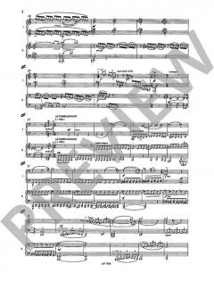 Neues Duo nach der 'Schönen Lau' von Peter Michael Braun 