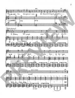 Letzter Ricarda Huch-Zyklus op. 127 von Wilhelm Rettich 