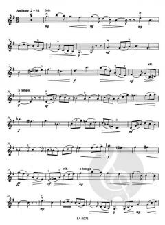 Concerto h-Moll op. 35 von Oskar Rieding 