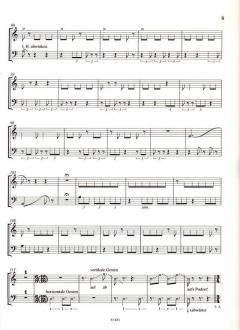 Rufe von Dieter Schnebel 