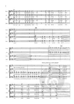 Der Feuerreiter CW Vol. 11/3 (Hugo Wolf) 