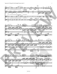 Quartetto nach Matiegka's Notturno op. 21 D 96 (Franz Schubert) 