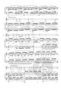 Götterdämmerung WWV 86 D von Richard Wagner 