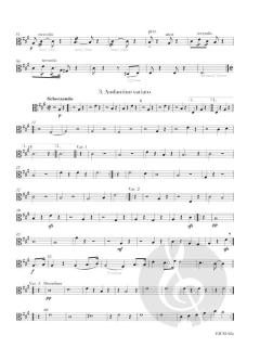 Concerto per chitarra ed archi secondo la Gran sonata (Niccolò Paganini) 