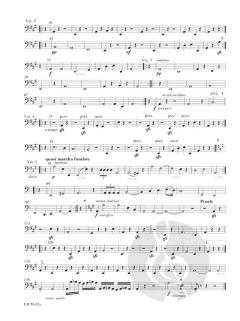 Concerto per chitarra ed archi secondo la Gran sonata (Niccolò Paganini) 