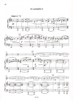 Konzert für Flöte und Orchester von Peteris Vasks im Alle Noten Shop kaufen