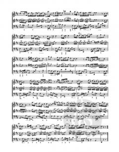 12 Methodische Sonaten TWV 4:41 von Georg Philipp Telemann 