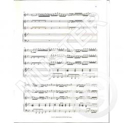 Concerto in B flat major (Giuseppe Giuliano) 