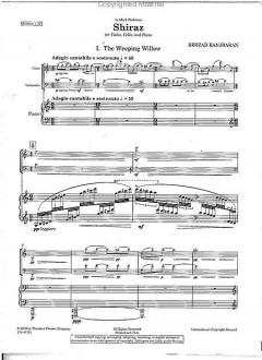 Shiraz (Behzad Ranjbaran) 