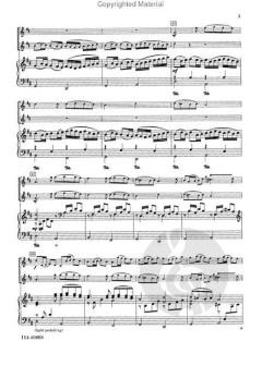 Kanon von Johann Pachelbel 