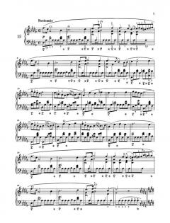 Die leichtesten Préludes op. 28 Nr.4,6,9,15,7,20 von Frédéric Chopin 