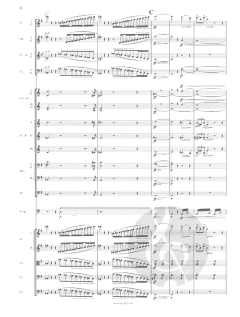 Symphonie Nr. 1 e-moll op. 39 von Jean Sibelius 
