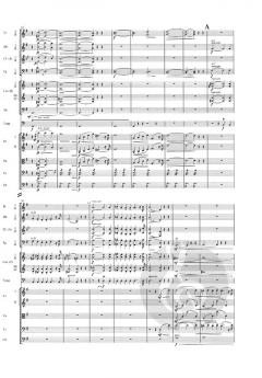 Symphonie Nr. 1 e-moll op. 39 von Jean Sibelius 