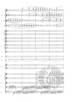 Symphonie Nr. 1 e-moll op. 39 von Jean Sibelius 