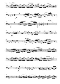 Csardas von Vittorio Monti 