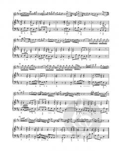 Sonate h-Moll für Flöte und Basso continuo von Georg Philipp Telemann im Alle Noten Shop kaufen