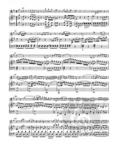 Sonaten für Violine und Klavier von Wolfgang Amadeus Mozart im Alle Noten Shop kaufen
