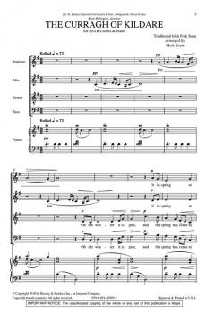 The Curragh Of Kildare 