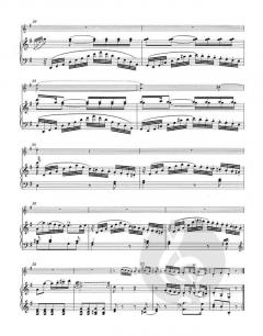 Sonaten für Violine und Klavier (Frühe Wiener Sonaten) von Wolfgang Amadeus Mozart im Alle Noten Shop kaufen