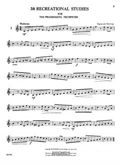 38 Recreational Studies von Sigmund Hering 
