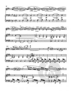 Violinkonzert von Franz Berwald im Alle Noten Shop kaufen