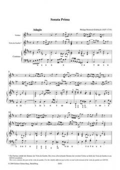 VI. Sonate a Violino e Viola da Gamba col suo Basso Continuo von Philipp Heinrich Erlebach 