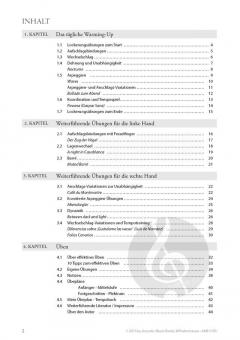 Eine Katze auf der Matratze von Dirk Strakhof 