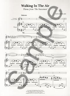 Walking in the Air von Howard Blake 