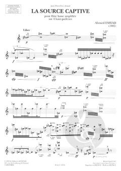 La Source Captive von Ahmed Essyad 