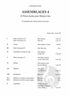 Assemblages 4 (Bruno Giner) 