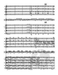 Rhapsody-Concerto von Bohuslav Martinu 