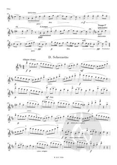 Petite Suite pour Flute et Piano Op. 12 von Henri Busser 