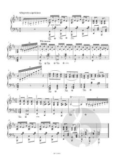 Etudes dans le style hongrois Band 1 von Michel Sogny 