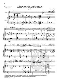 Kleines Flötenkonzert op. 438 von Wilhelm Popp im Alle Noten Shop kaufen