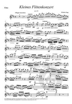 Kleines Flötenkonzert op. 438 von Wilhelm Popp im Alle Noten Shop kaufen