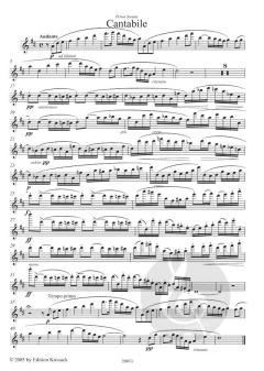 Prima Sonata von Blaz Pucihar 