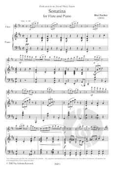 Sonatina for Flute and Piano von Blaz Pucihar 