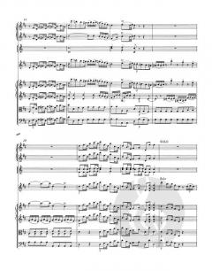 Violinkonzert D-Dur KV 211 von Wolfgang Amadeus Mozart 