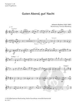 Wiegenlied (Guten Abend gute Nacht) (Johannes Brahms) 