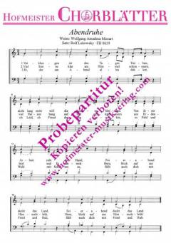 Abendruhe (Verklungen ist des Tages Treiben) (W.A. Mozart) 